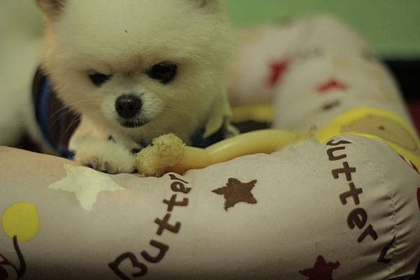 IMG_1273.JPG IMG_1273.JPG