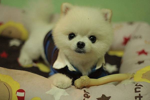 IMG_1274.JPG IMG_1274.JPG