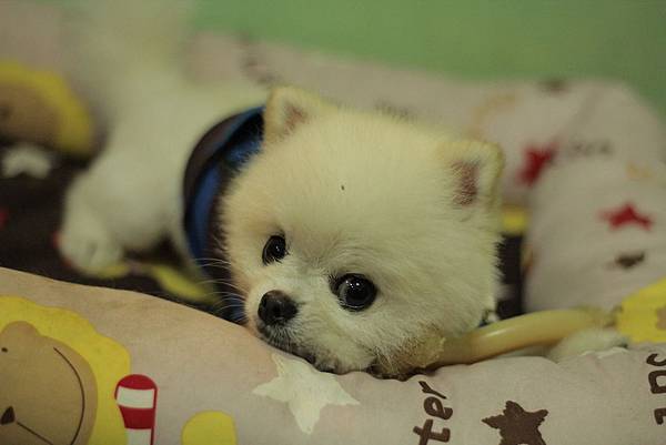 IMG_1277.JPG IMG_1277.JPG