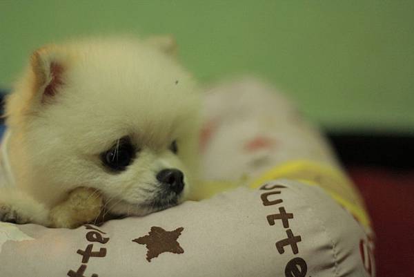 IMG_1281.JPG IMG_1281.JPG