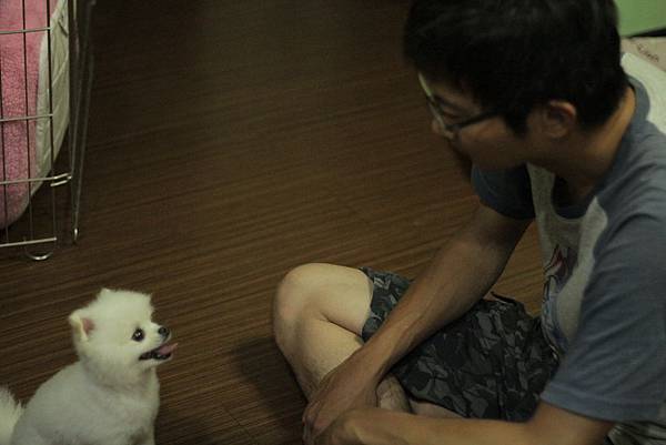 IMG_1285.JPG IMG_1285.JPG