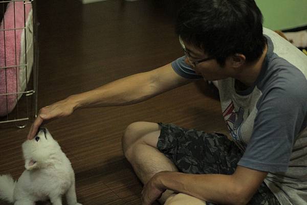 IMG_1286.JPG IMG_1286.JPG