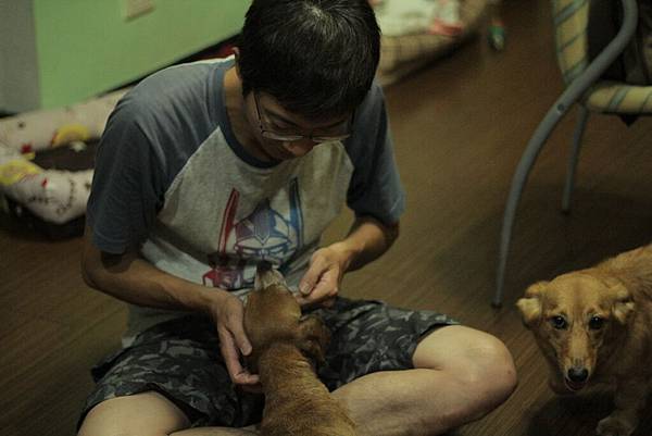 IMG_1293.JPG IMG_1293.JPG