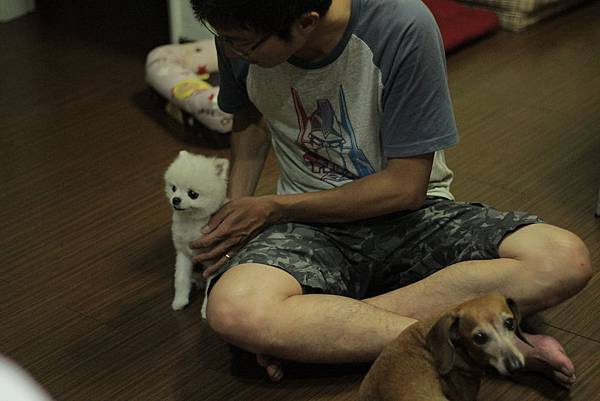 IMG_1295.JPG IMG_1295.JPG