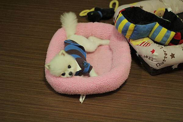 IMG_1297.JPG IMG_1297.JPG