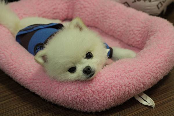 IMG_1302.JPG IMG_1302.JPG