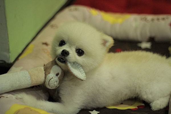 nEO_IMG_IMG_1341 nEO_IMG_IMG_1341