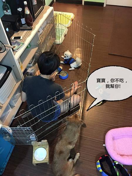 10953903_982840975059900_5843846229146050380_o