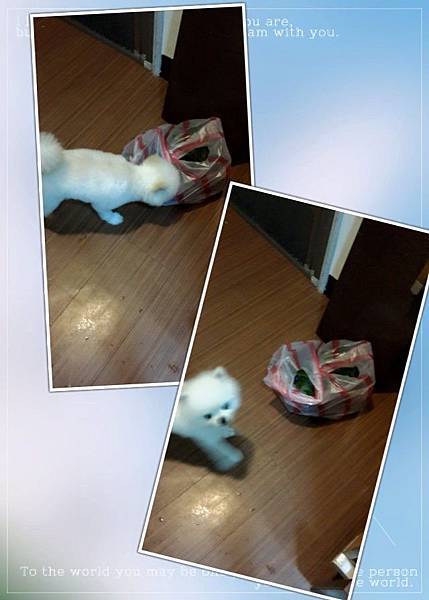 11188169_983525854991412_8392270963299620553_n