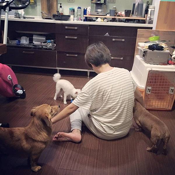 11377207_984204404923557_6804655566192814947_n