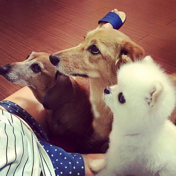 10423288_983597301650934_6422551186064723084_n