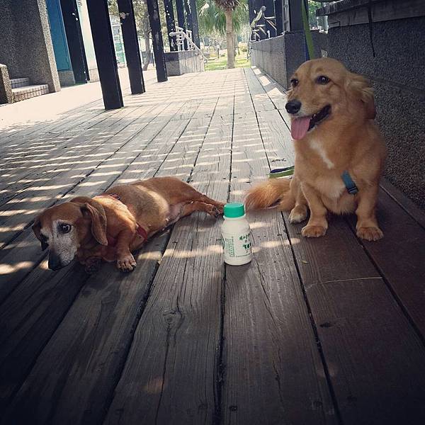 216464.jpg 216464.jpg