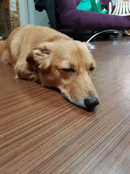 IMG_20161106_082540.jpg IMG_20161106_082540.jpg