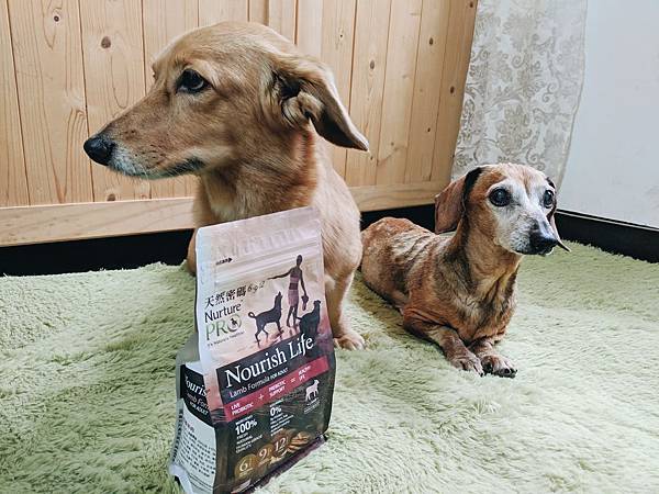 天然密碼 低敏羊肉 天然密碼 低敏羊肉