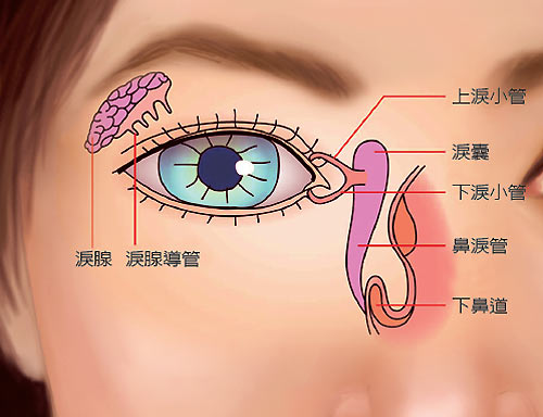 乾眼症