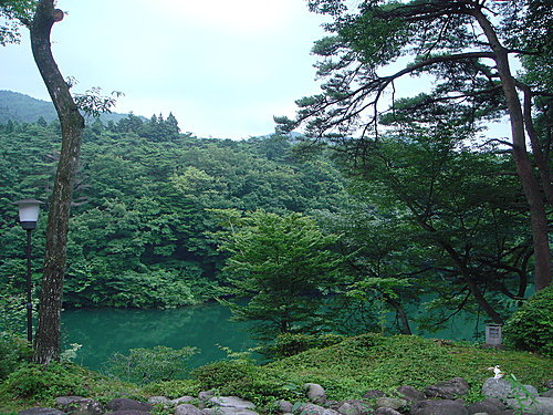 志季大瀞　窓からの眺め