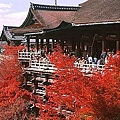 昼間の清水寺