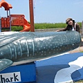 水族館-鯊魚
