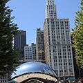 Millennium park _Cloud Gate 3.JPG