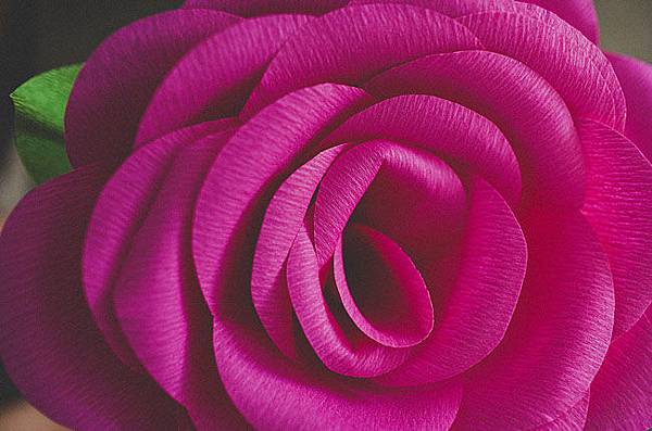 diy-giant-paper-rose-17