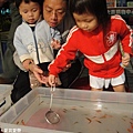 撈金魚.JPG