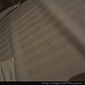 DSC00832