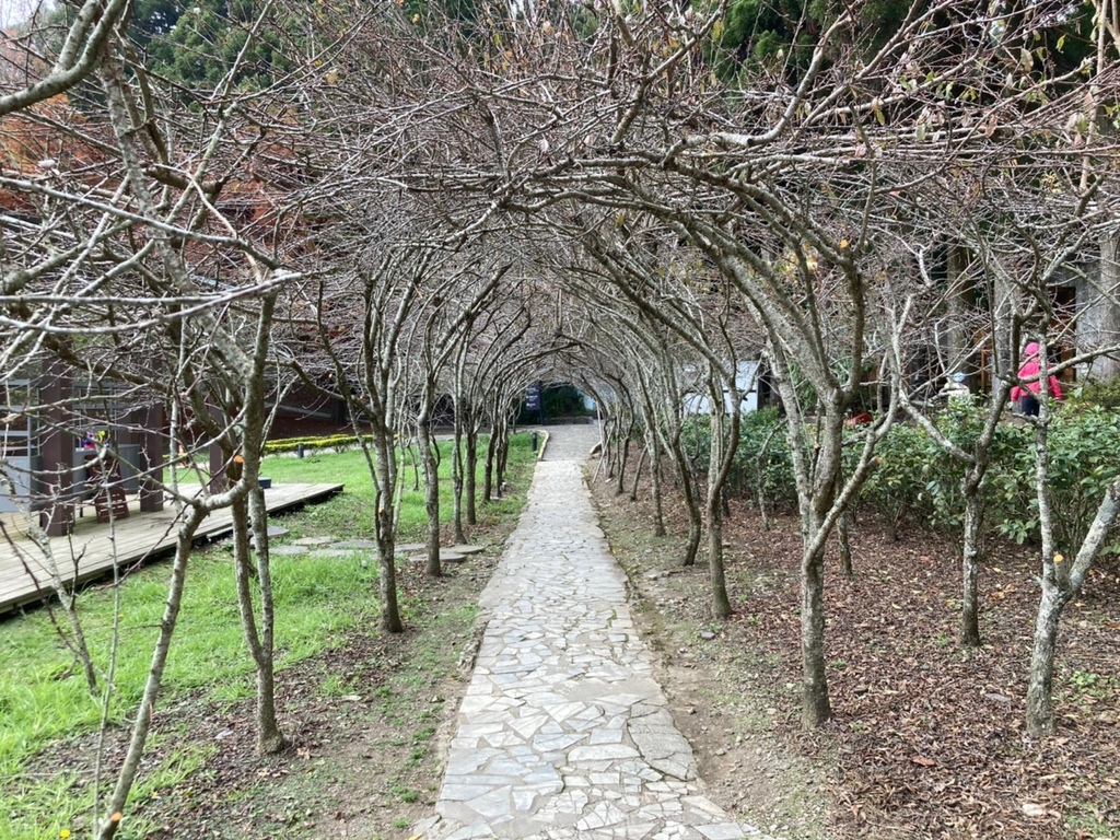 小瑞士花園_210120_44.jpg