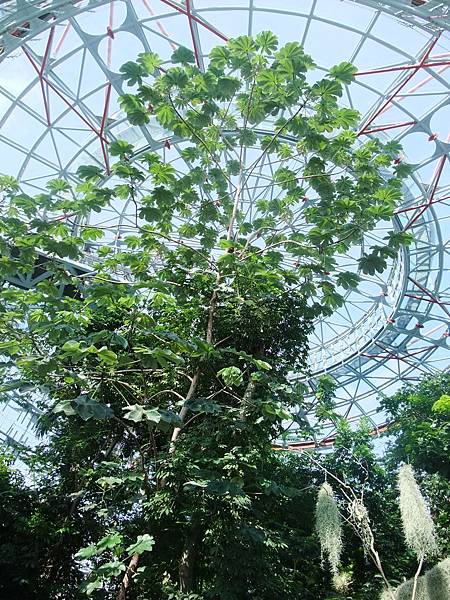 05植物園