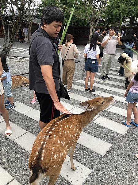 【遊玩】宜蘭旅行-2