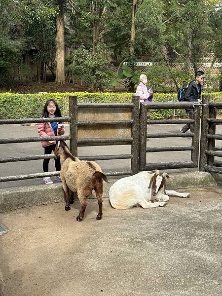 家庭日-六福村