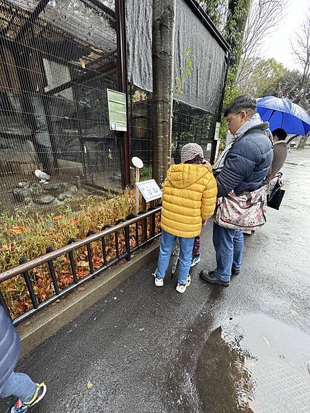 【遊玩】東京旅遊-3 上野動物園