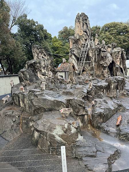 【遊玩】東京旅遊-3 上野動物園