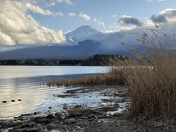 【遊玩】東京旅遊-4 河口湖、大石公園