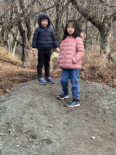 【遊玩】東京旅遊-5 富士山景觀纜車、天上公園、忍野八海