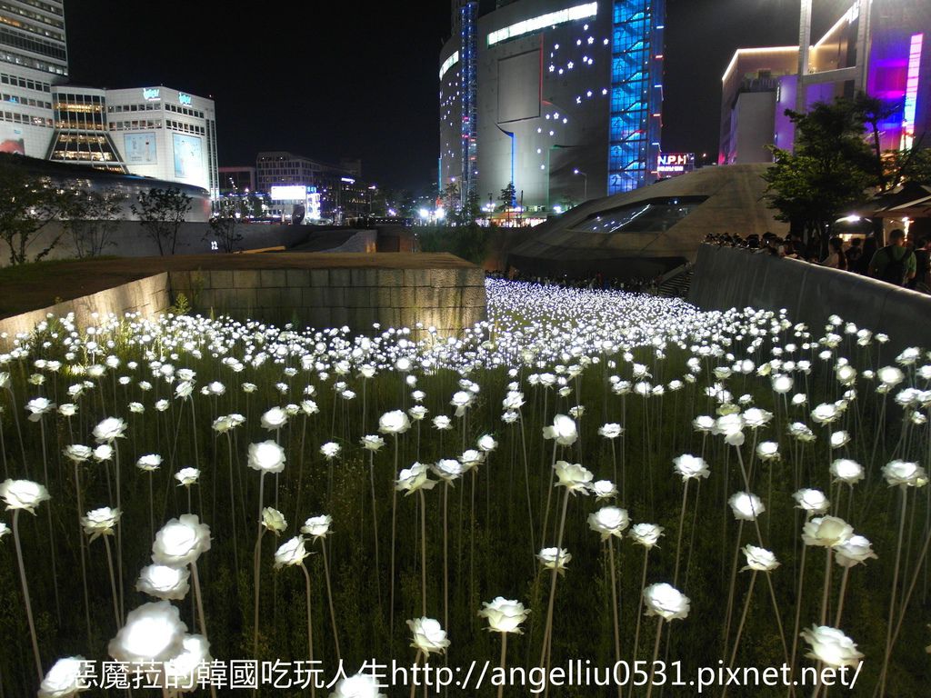 韓國│東大門 DDP廣場LED玫瑰花燈燈海展