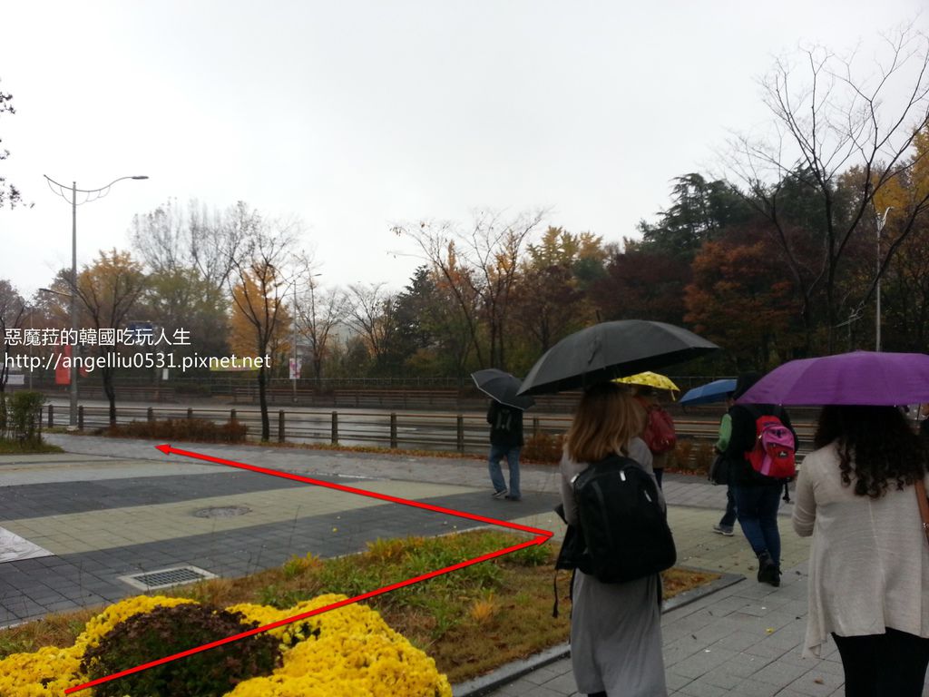 韓國自由行│全州免費巴士申請教學전주 무료 셔틀버스(全州旅遊推薦交通方式)