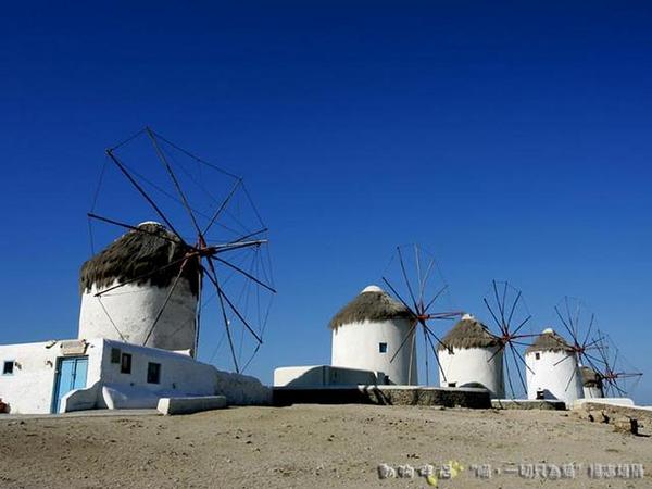 Cats in Greece 希臘貓