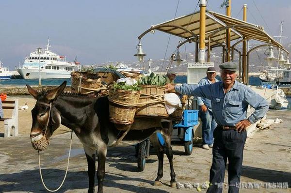 Cats in Greece 希臘貓