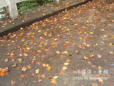 陣雨擊落散在地