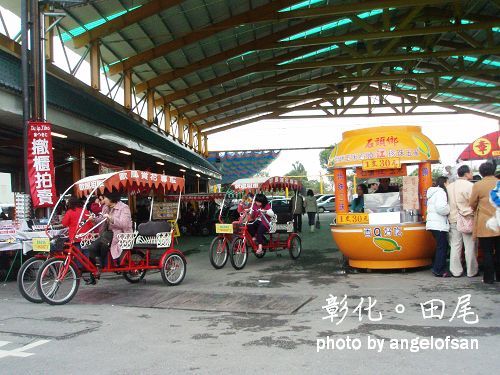 想到田尾公路花園欣賞,但人太多而作罷