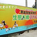 2008年的黑面琵鷺保育季已展開