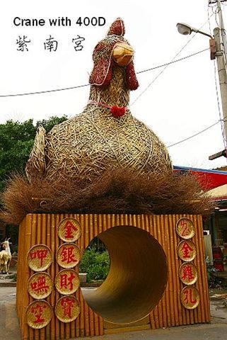 金雞母