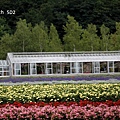IMG_7878.JPG