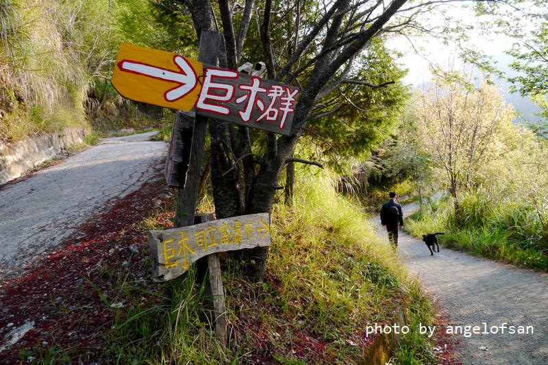 P1120216.JPG P1120216.JPG
