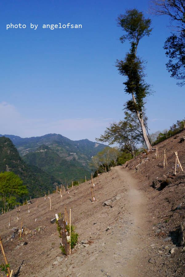 P1120261.JPG P1120261.JPG