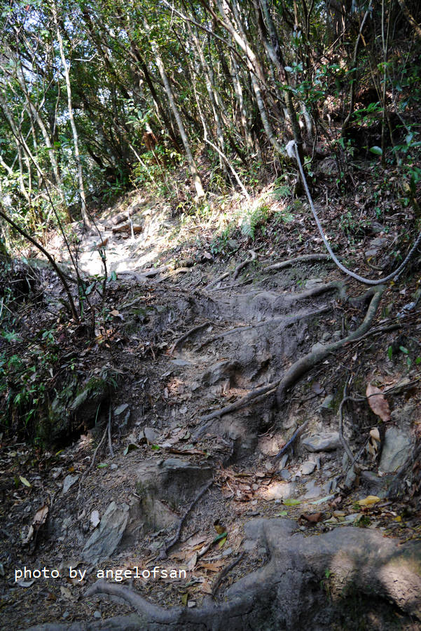 P1120134.JPG P1120134.JPG