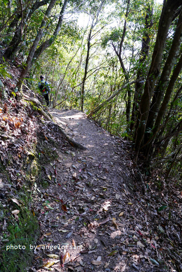 P1120132.JPG P1120132.JPG