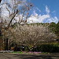 P1350147.JPG