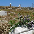 P1180533.JPG