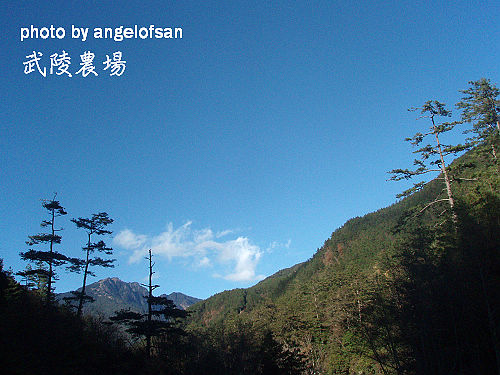 左側山頭是雪山東峰